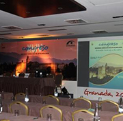 Organizador de Congresos Málaga 2
